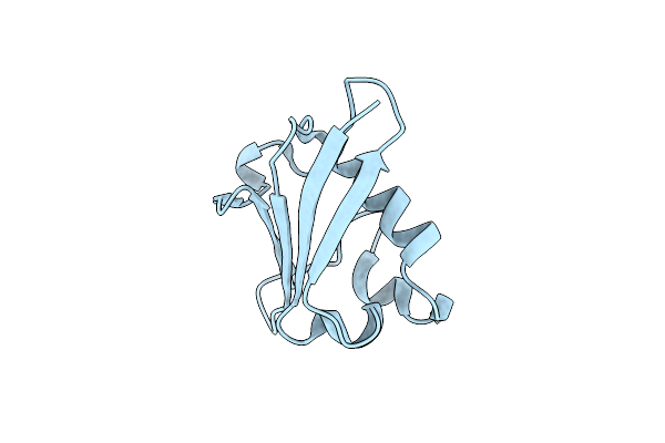 2PKO image