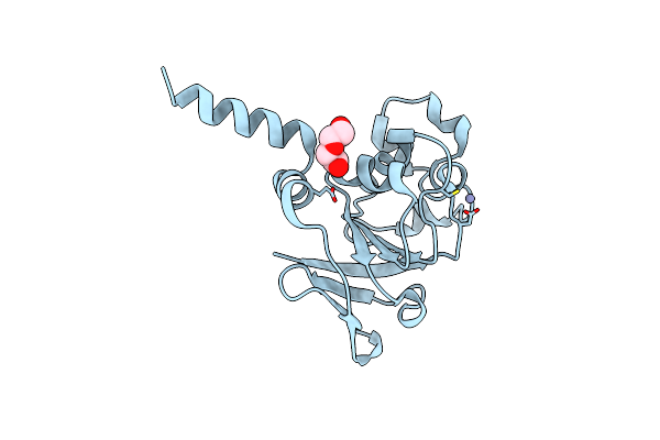 2PKP image