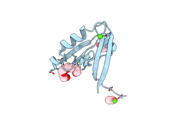 2PKT image
