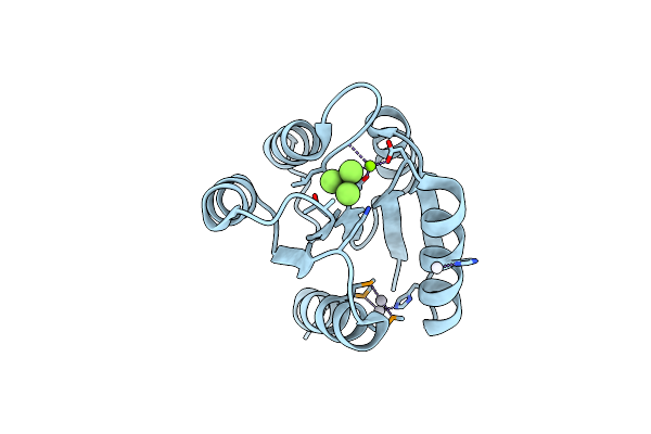 2PL1 image