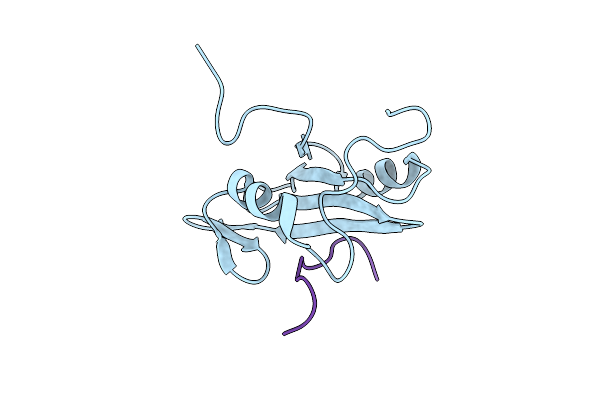 2PLD image
