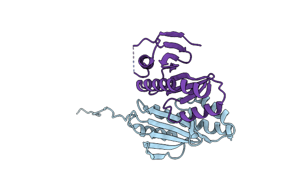 2PLG image