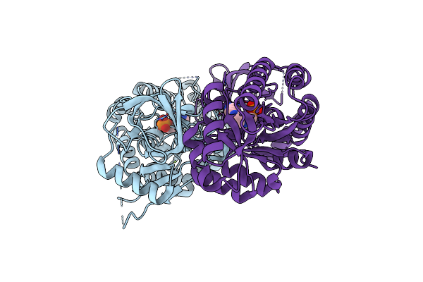 2PLJ image