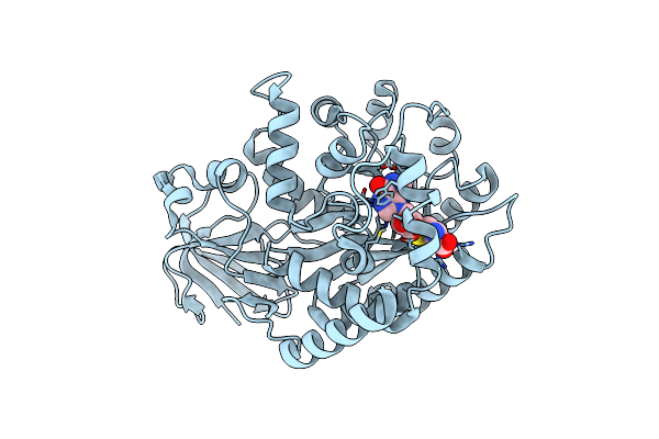 2PLM image