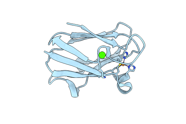 2PLT image