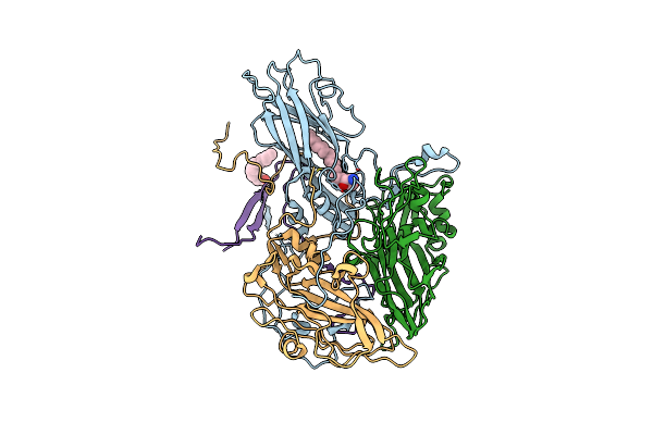 2PLV image