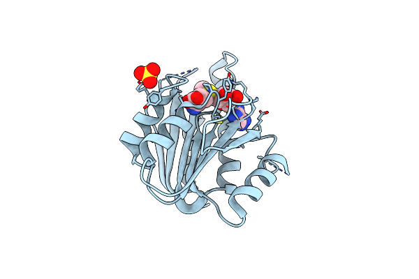 2PLW image