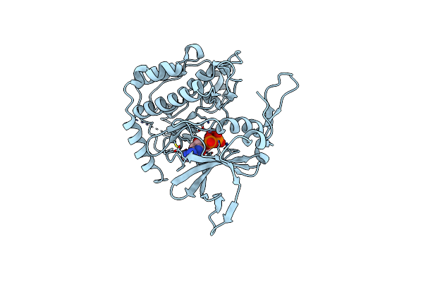 2PML image