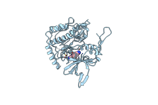 2PMN image