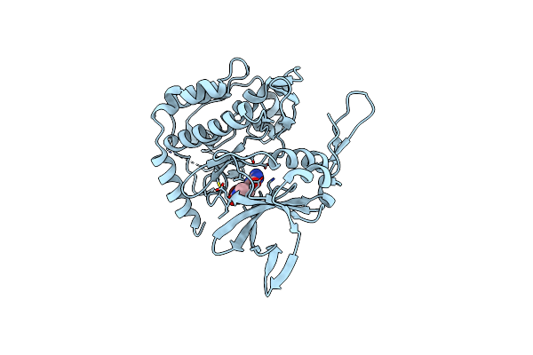 2PMO image