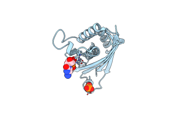 2PMP image