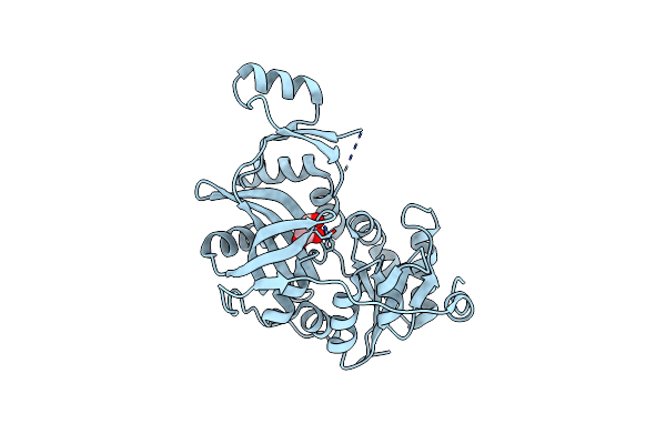 2PN1 image