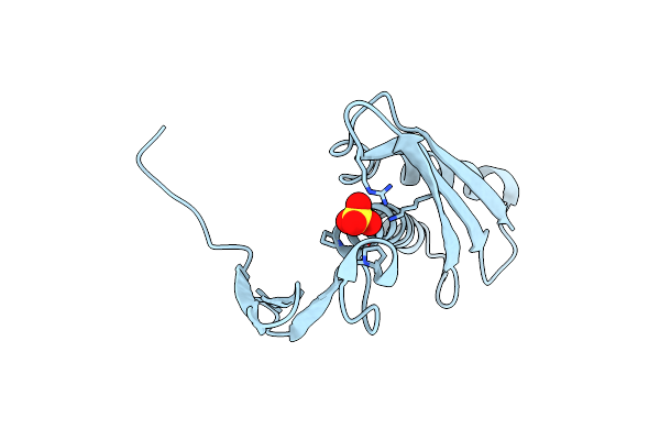 2PN2 image