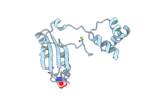 2PN6 image