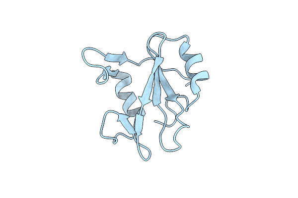 2PNB image