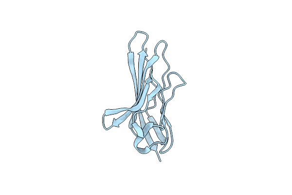2PND image