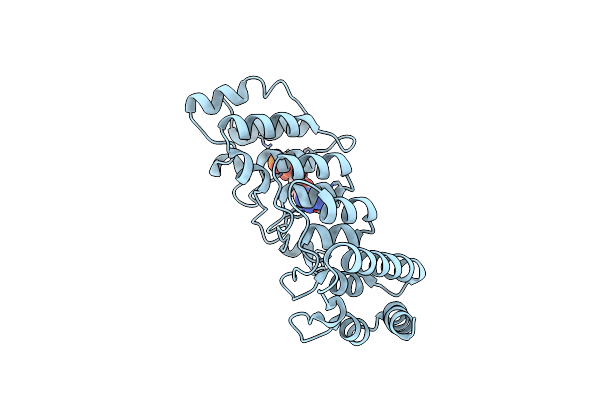 2PNN image