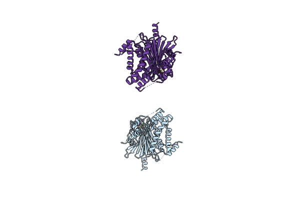 2PNQ image
