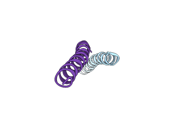 2PNV image