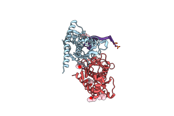 2PO1 image