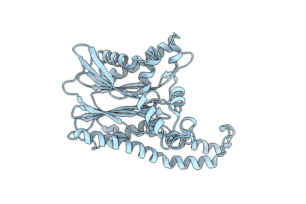 2POM image