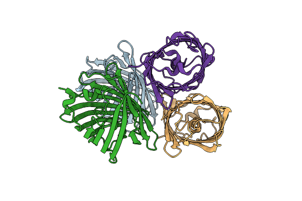 2POX image