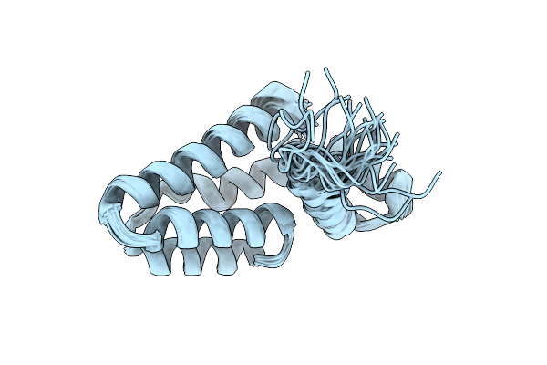 2PP4 image