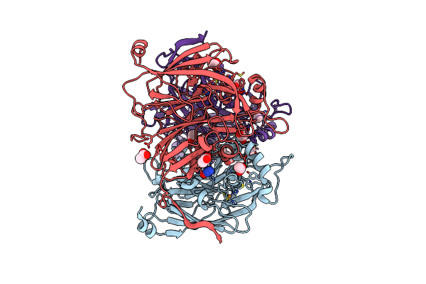 2PPA image