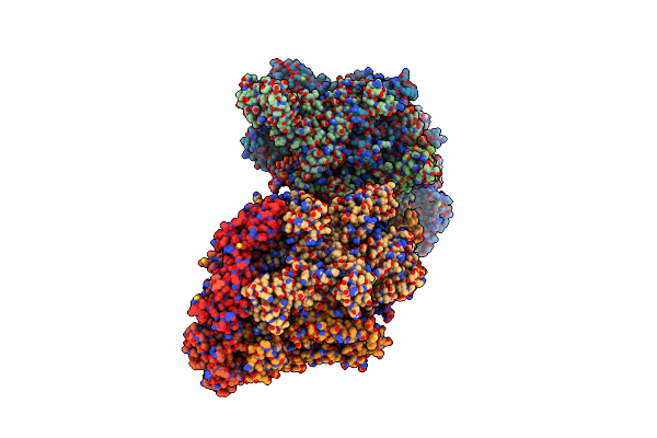 2PPB image