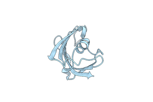 2PPN image