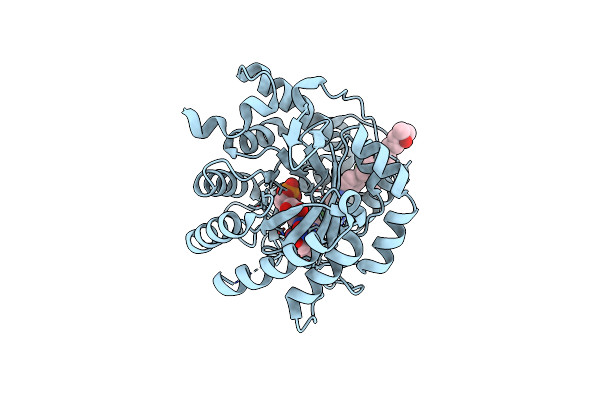 2PRH image