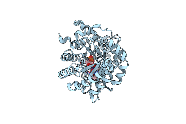 2PRM image