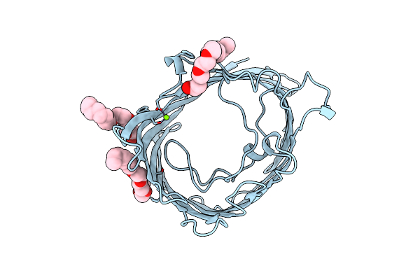 2PRN image