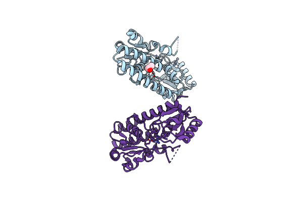 2PRS image