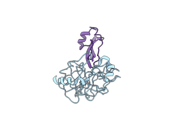 2PTC image