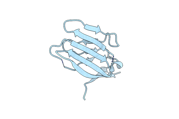 2PTV image
