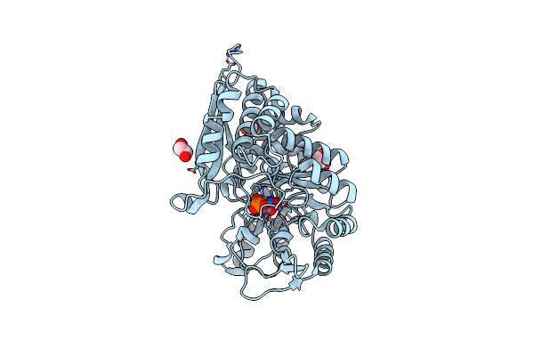 2PU0 image
