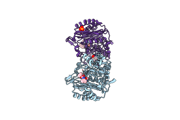 2PU4 image