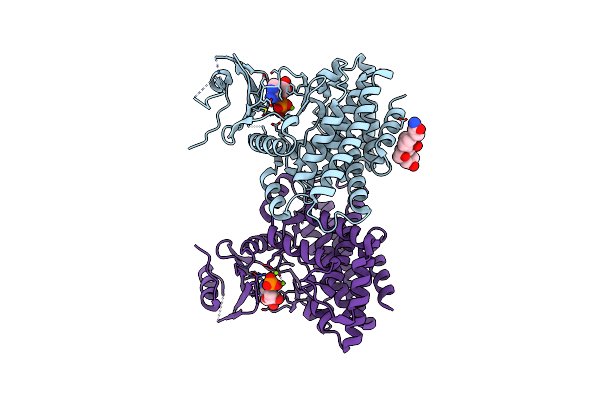 2PUI image