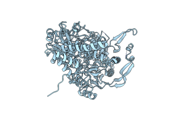 2PUS image