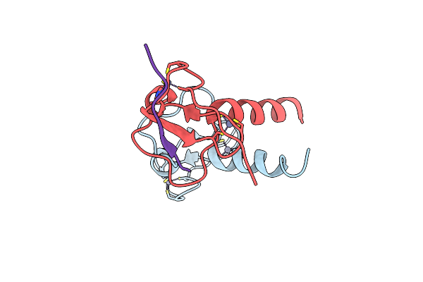 2PUY image