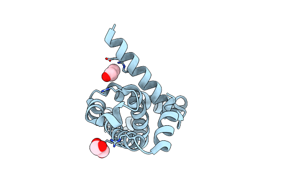 2PV4 image