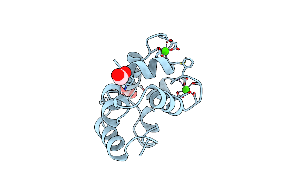 2PVB image