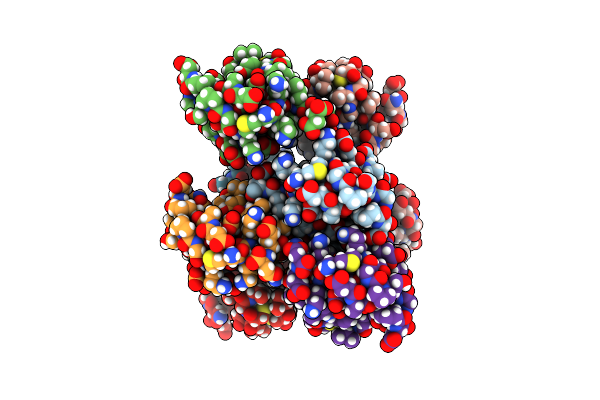 2PVX image