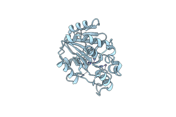 2PW6 image