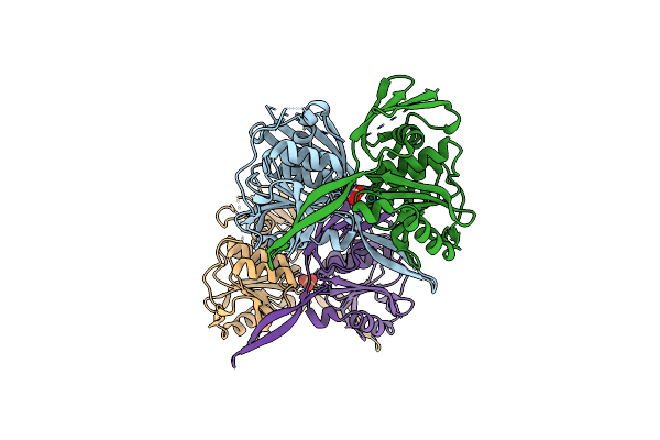 2PW9 image