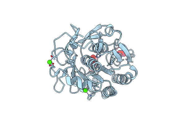2PWB image