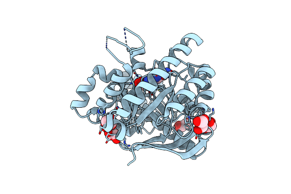 2PWV image