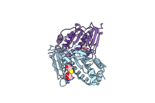 2PX2 image