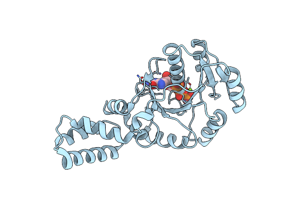 2PX3 image